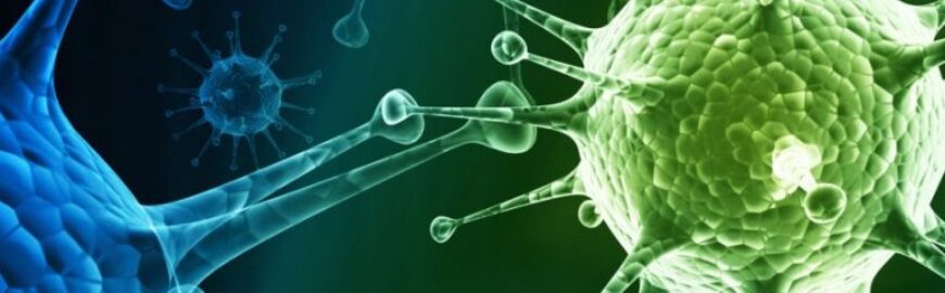 Olimpiada Naţională de Biologie - Liceul 