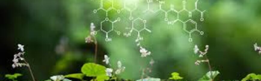 Olimpiada Naţională de Biologie - Liceul 